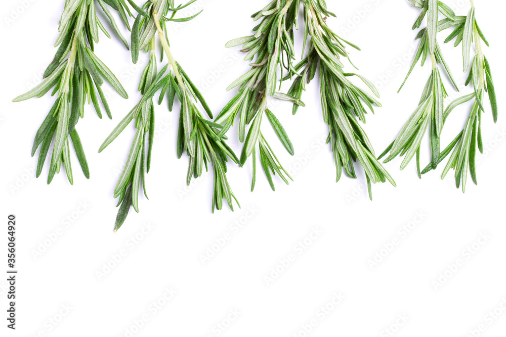 Fototapeta premium Twig of rosemary on a white isolated background