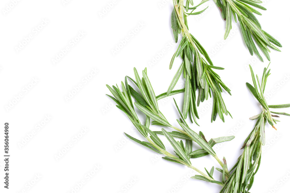 Twig of rosemary on a white isolated background Twig of rosemary on a white isolated background