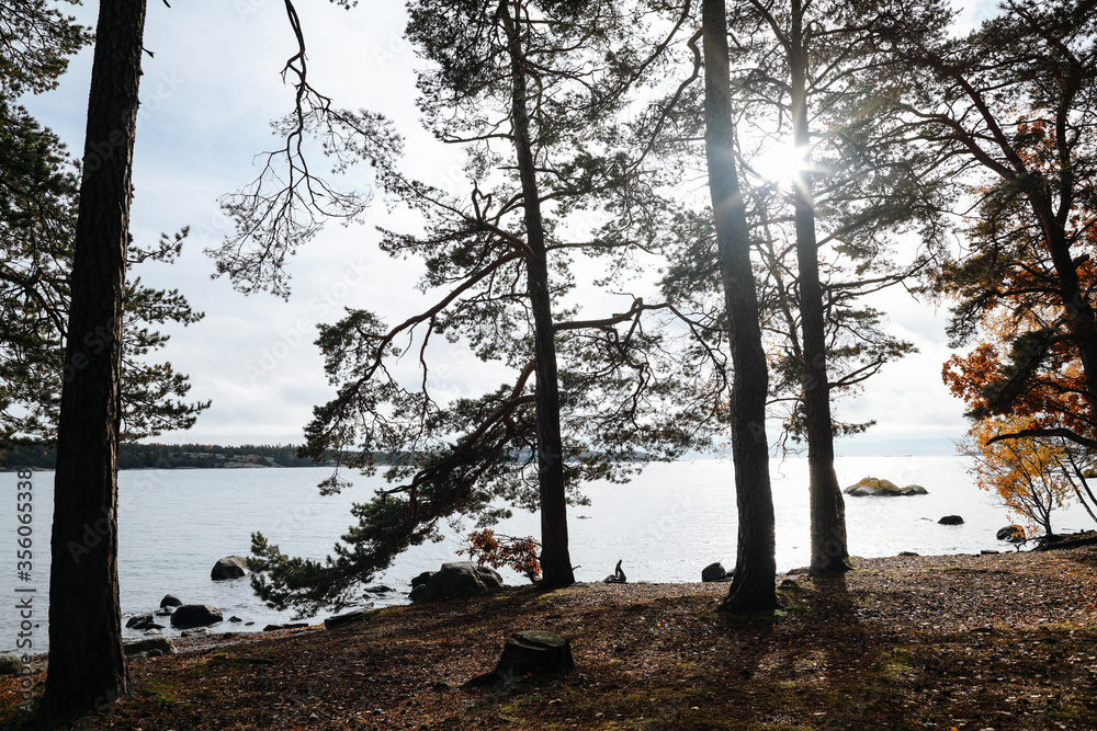 View on beautiful  house on the hill in forest near Baltic sea in Sweden 