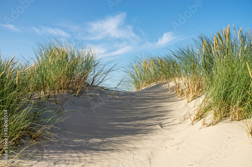 Fototapeta Naklejka Na Ścianę i Meble -  Beach with sand dunes and marram grass with blue sky and clouds. Skagen Nordstrand, Denmark. Skagerrak, Kattegat.