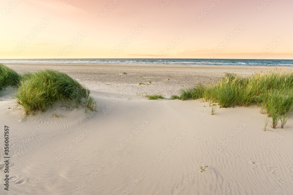 Beach with sand dunes and marram grass in soft purple sunrise sunset light. Skagen Nordstrand, Denmark. Skagerrak, Kattegat. Beach with sand dunes and marram grass in soft purple sunrise sunset light. Skagen Nordstrand, Denmark. Skagerrak, Kattegat.