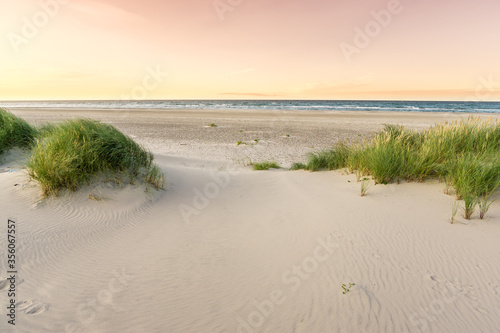 Beach with sand dunes and marram grass in soft purple sunrise sunset light. Skagen Nordstrand  Denmark. Skagerrak  Kattegat.