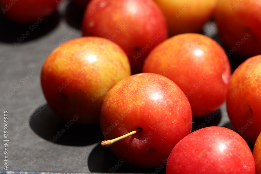 Fresh plum fruits on black background Fresh plum fruits on black background