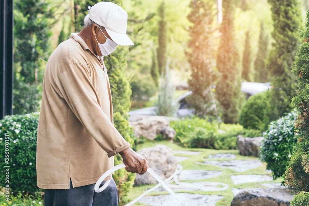 A quarantined elderly man wear a face mask to prevent the spread of the Corona virus (Covid-19) watering plants for exercise in the garden at home. New normal lifestyle. A quarantined elderly man wear a face mask to prevent the spread of the Corona virus (Covid-19) watering plants for exercise in the garden at home. New normal lifestyle.