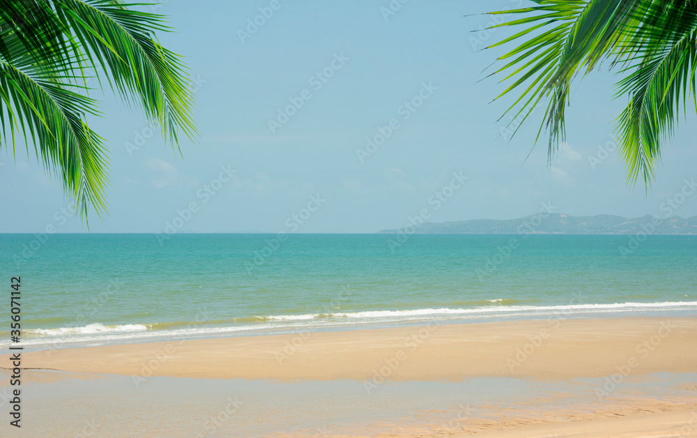 Coconut tree leaf on the tropical beach with space for text , summer,holiday, vacation weekend or relax ,summer mid year sale concept
