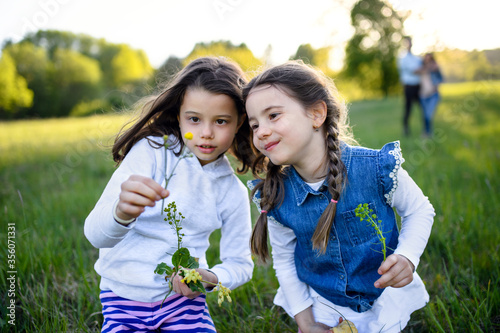 Portrait of two small girls standing outdoors in spring nature  picking flowers.