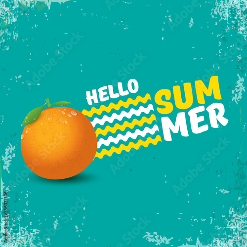 Vector Hello Summer party label or flyer Design template with fresh orange fruit on azure background. Hello summer concept label or poster with fruit and letternig text