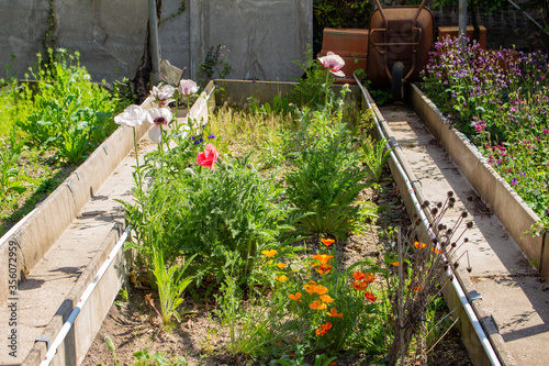 Flower bed in a old damaged abandoned greenhouse