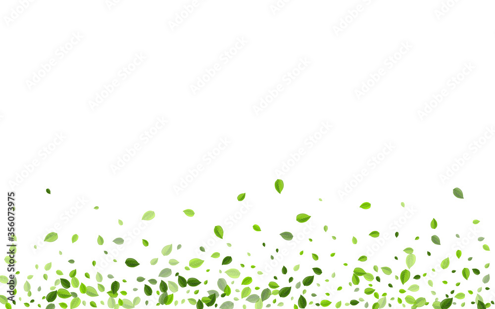 Lime Greens Wind Vector Poster. Organic Foliage Lime Greens Wind Vector Poster. Organic Foliage
