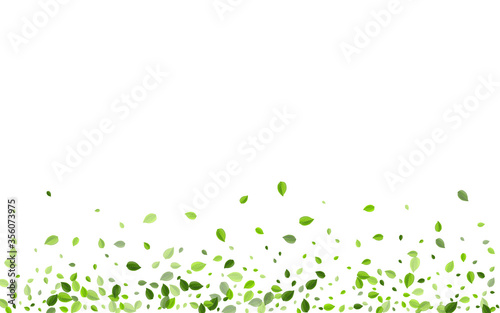 Lime Greens Wind Vector Poster. Organic Foliage 