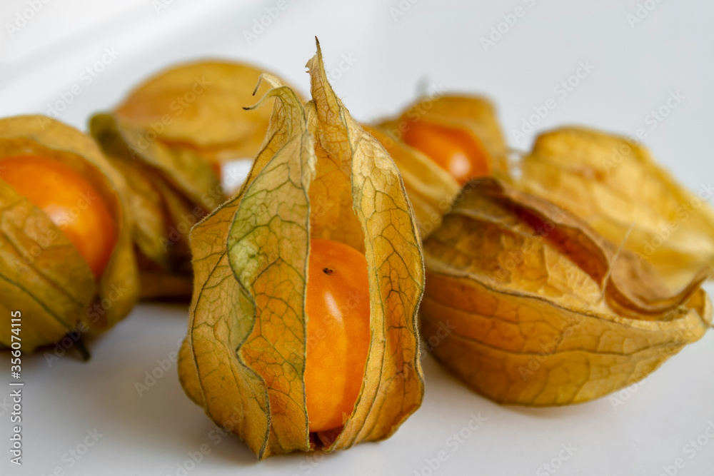 A few orange Physalis peruviana with husk on a light background
