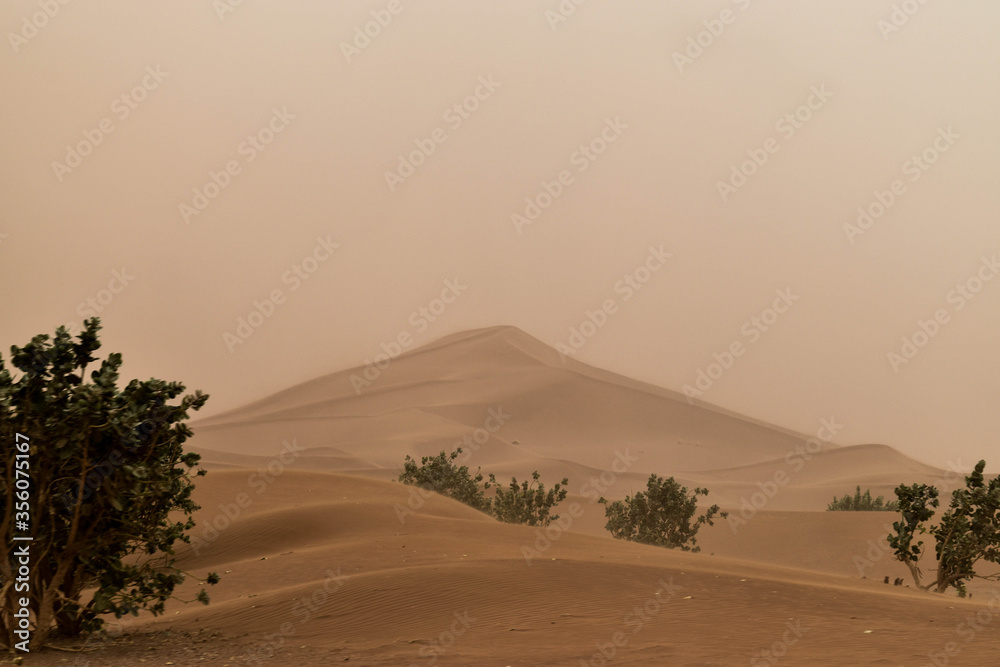 Naklejka premium Sahara's dunes in a sandstorm