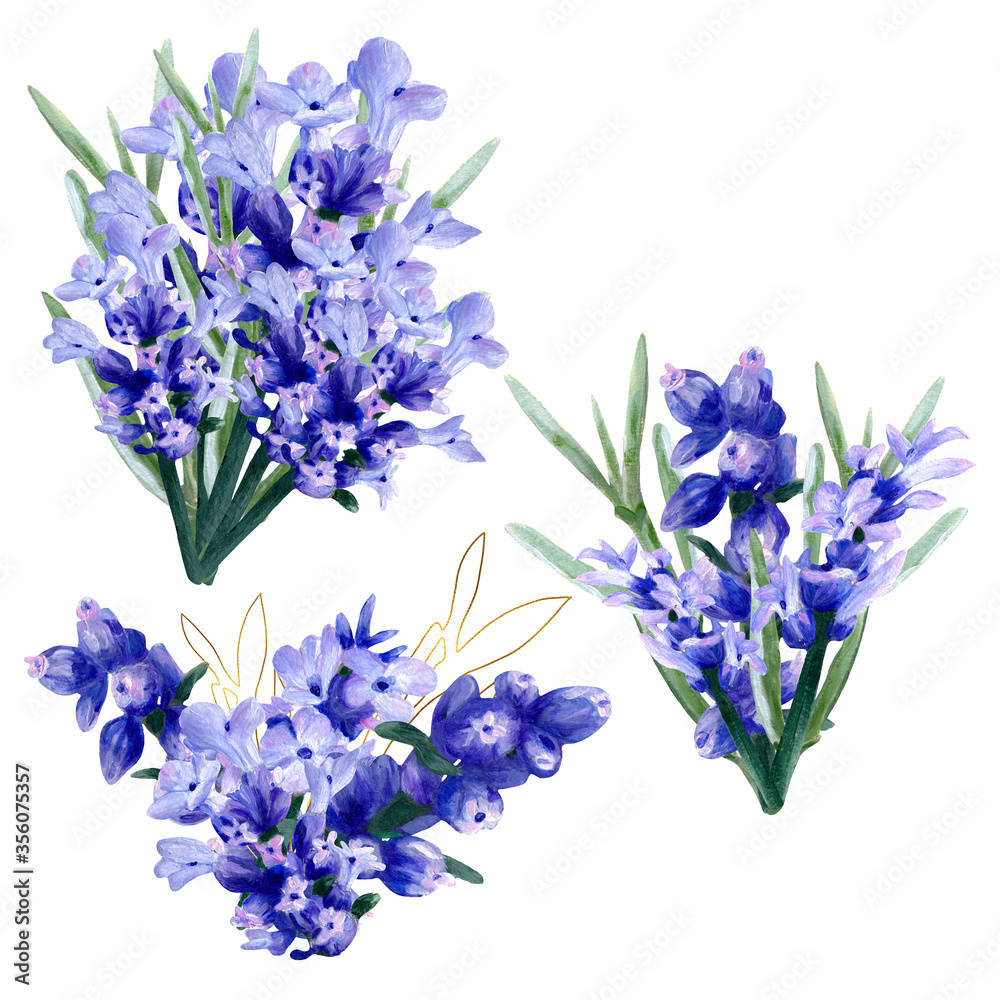 Obraz premium watercolor-lavender-bouquets