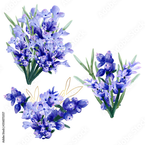 watercolor-lavender-bouquets