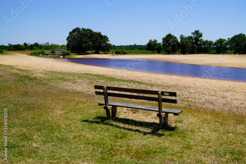 wood bench empty in Ares lake sand wild beach calm water in gironde france