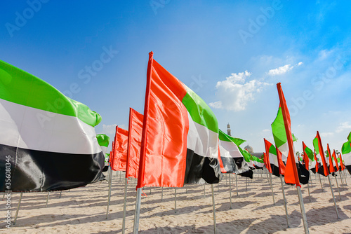 Fotografi United Arab Emirates flag waving on the wind, UAE Flag