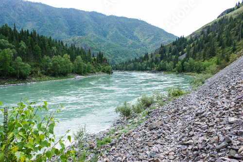 Rocky shore of the Katun river at sunset. Altai. Siberia.