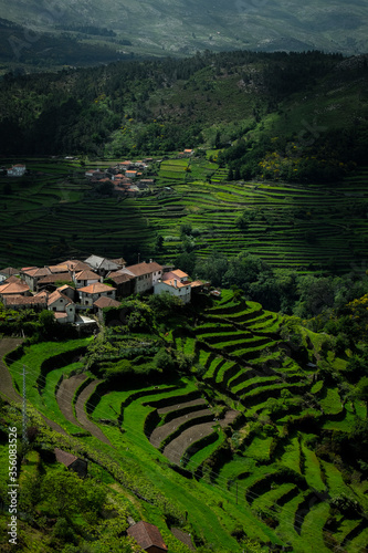 Sistelo aldeia nos campos verdes de cultivo photo
