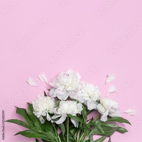 Fototapeta Naklejka Na Ścianę i Meble -  Bouquet of white peonies flower on pink background with copy space.  Summer blossoming delicate petals of peony, bright and soft floral card.