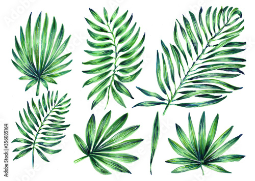 Set of tropical leaves. Botanical watercolor illustrations of the jungle, floral elements. Collection of exotic palm leaves isolated on a white background. Beautiful illustration for textiles.