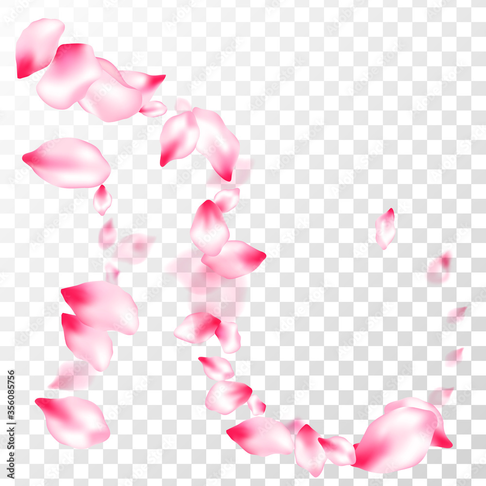 Pink sakura petals confetti flying and falling Pink sakura petals confetti flying and falling