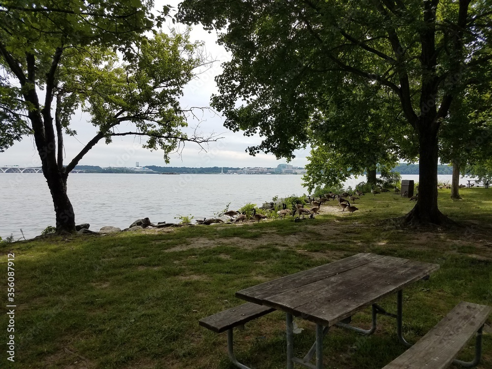 picnic table with geese and Potomac river, National harbor, and Wilson bridge
