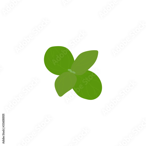 Isolated green leaf on a white background