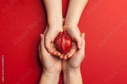 Fototapeta Naklejka Na Ścianę i Meble -  Human heart in mom and kid hands isolated on red background. Heart attack, failure.