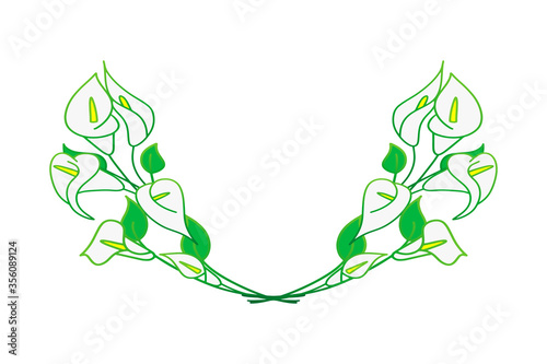 Doodle calla lilies border isolated on white. Sketch flower. Hand drawing line art. Outline vector stock illustration. EPS 10