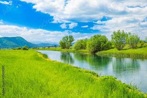 Fototapeta Naklejka Na Ścianę i Meble -  Croatia, beautiful nature landscape, river Gacka flowing between the meadow fields in Lika region
