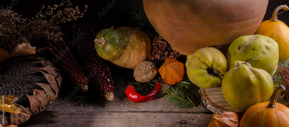 Autumnal rural banner with bright ripe pumpkins, big dry sunflower, apple quinces on an old wooden background with empty space for text.