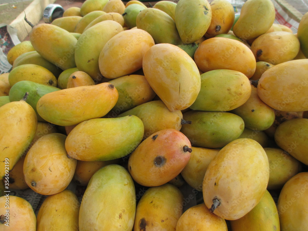 Group mangoes kept well stocked Group mangoes kept well stocked