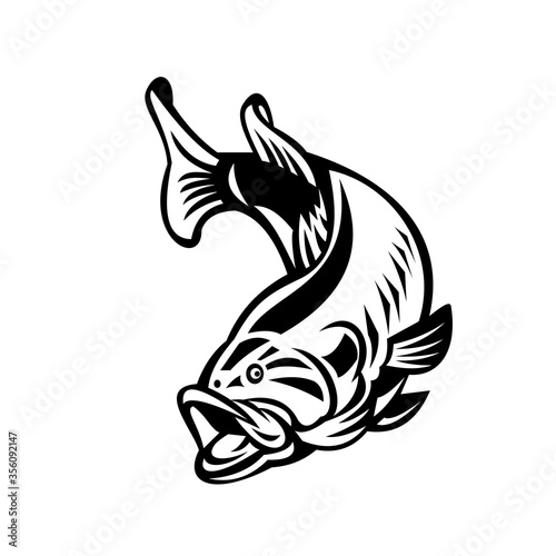 Largemouth Bass Swimming Down Black and White Retro