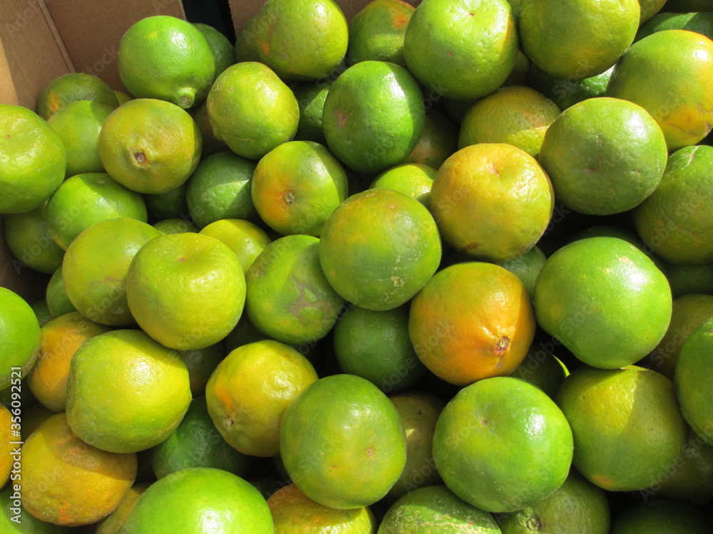 Group of Santra fruit, Tangerine fruit kept well stocked Group of Santra fruit, Tangerine fruit kept well stocked