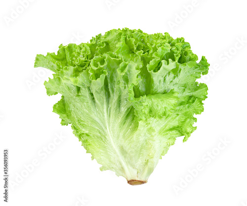 Lettuce leaf isolated on white background ,Green leaves pattern ,Salad ingredient photo