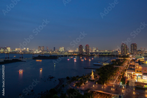 自由の女神が見えるお台場の夜景