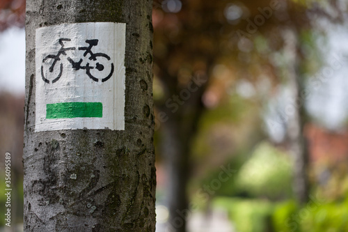 Szlak rowerowy, oznaczenie namalowanie na pniu drzewa.
