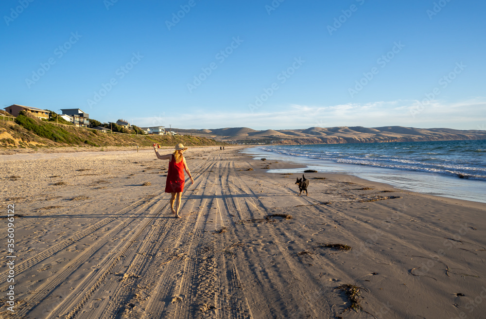Mature woman and pet dog walking together on empty beach in the new normal after coronavirus Mature woman and pet dog walking together on empty beach in the new normal after coronavirus