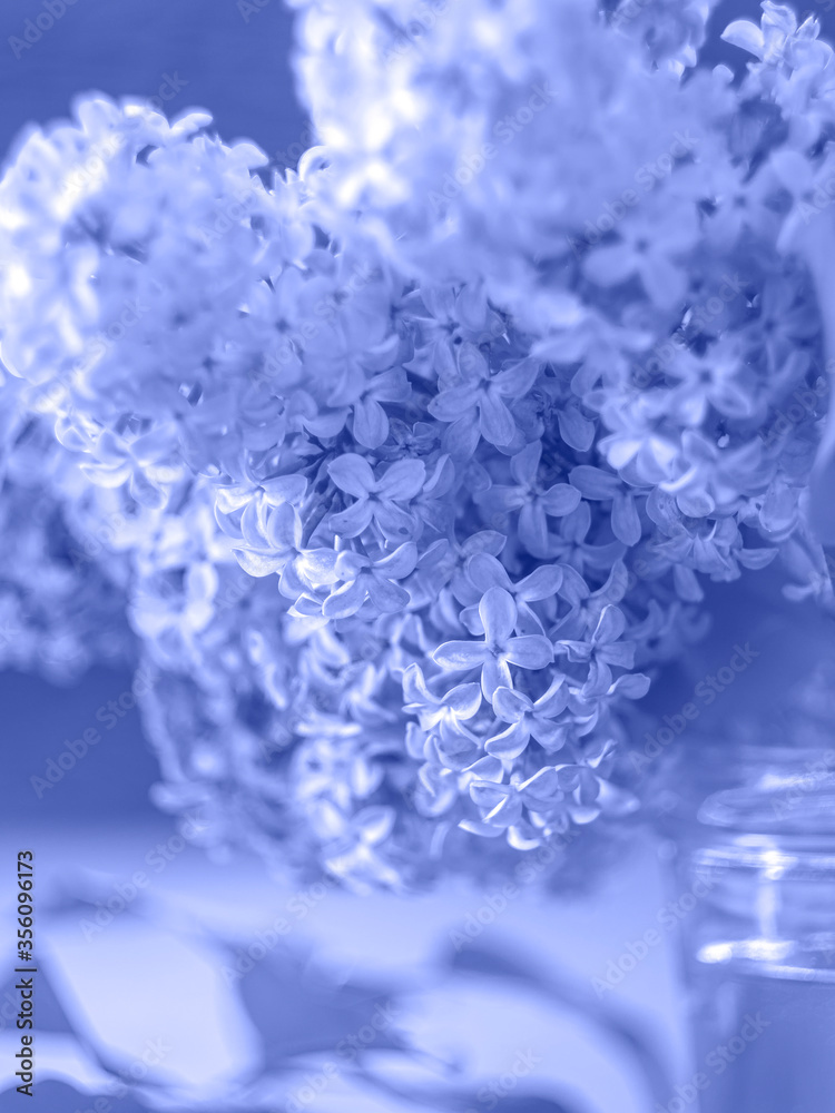 Macro beautiful lilac flowers. Macro flowers on a vintage Helios lens. Can be used for greeting card. Macro beautiful lilac flowers. Macro flowers on a vintage Helios lens. Can be used for greeting card.