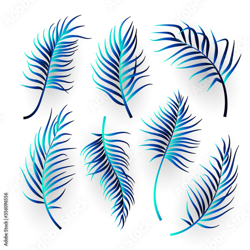 Abstract tropical leaves set on white background. Vector illustration