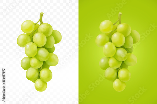 Green grape, vector illustration on isolated background.