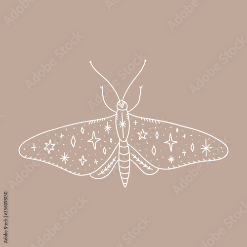 Butterfly and night sky inside, double exposure. Wildlife concept. Boho tattoo art, fantasy ethnic style. Ornate insect. Vector illustration.