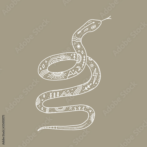 Isolated snake and night landscape inside, double exposure. Wildlife concept. Boho tattoo art, fantasy ethnic style. Ornate animal. Vector illustration.