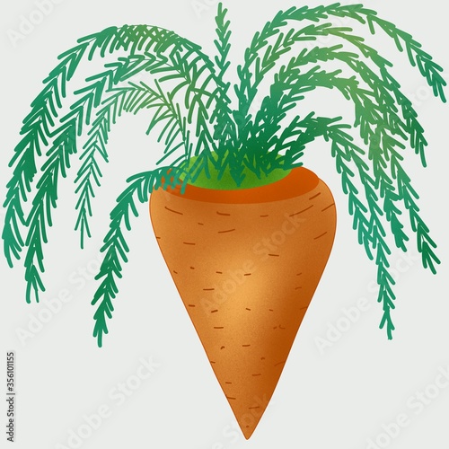 Isolated carrot. One fresh carrot with big leaves isolated on white background
