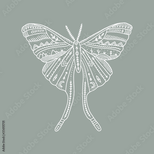 Moon moth. Wildlife concept. Boho tattoo art, fantasy ethnic style. Ornate insect. Vector illustration.