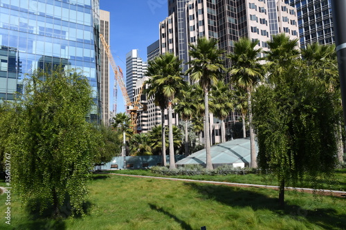 Salesforce Transit Center roof garden. View with skyscrapers.