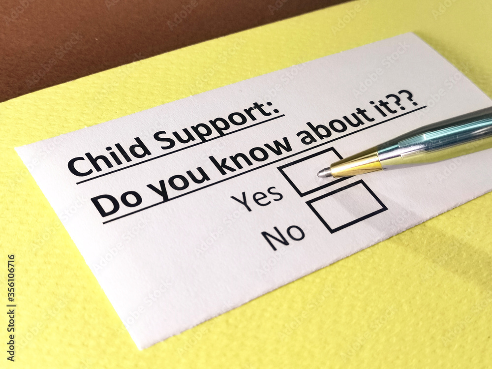One person is answering question about child support. One person is answering question about child support.