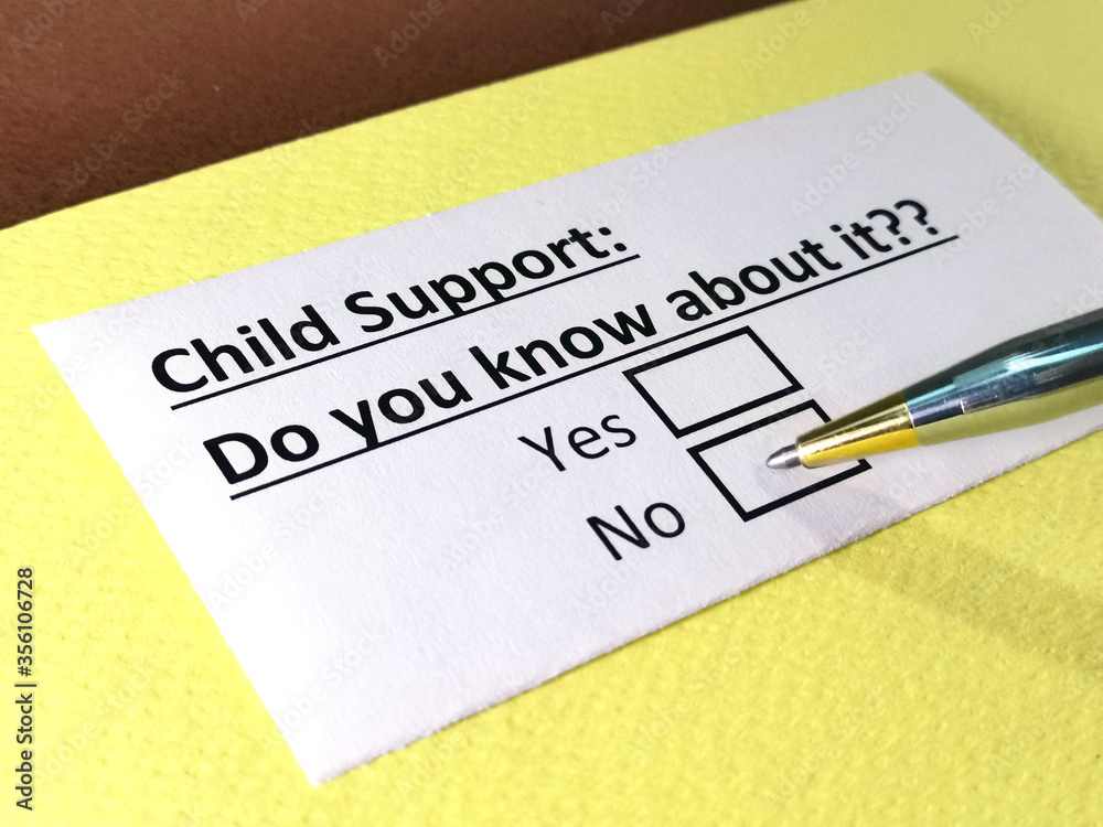 One person is answering question about child support. One person is answering question about child support.