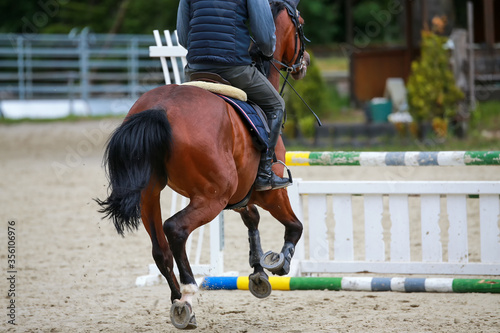 Horse jumper with rider galloping when hitting an obstacle, photographs from behind to blur towards the head..