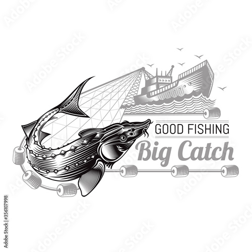 Fishing boat with sturgeon inside net.